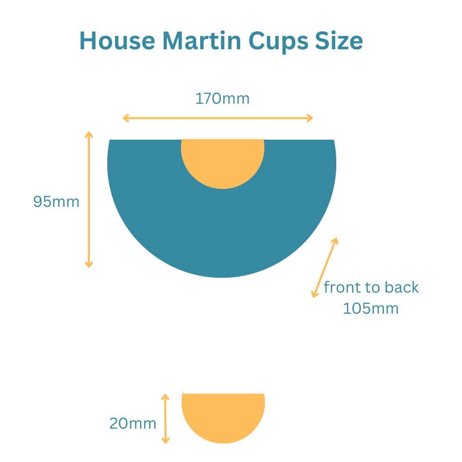double house martin nest cup