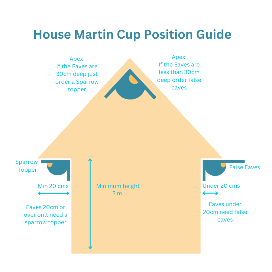 double house martin nest cup