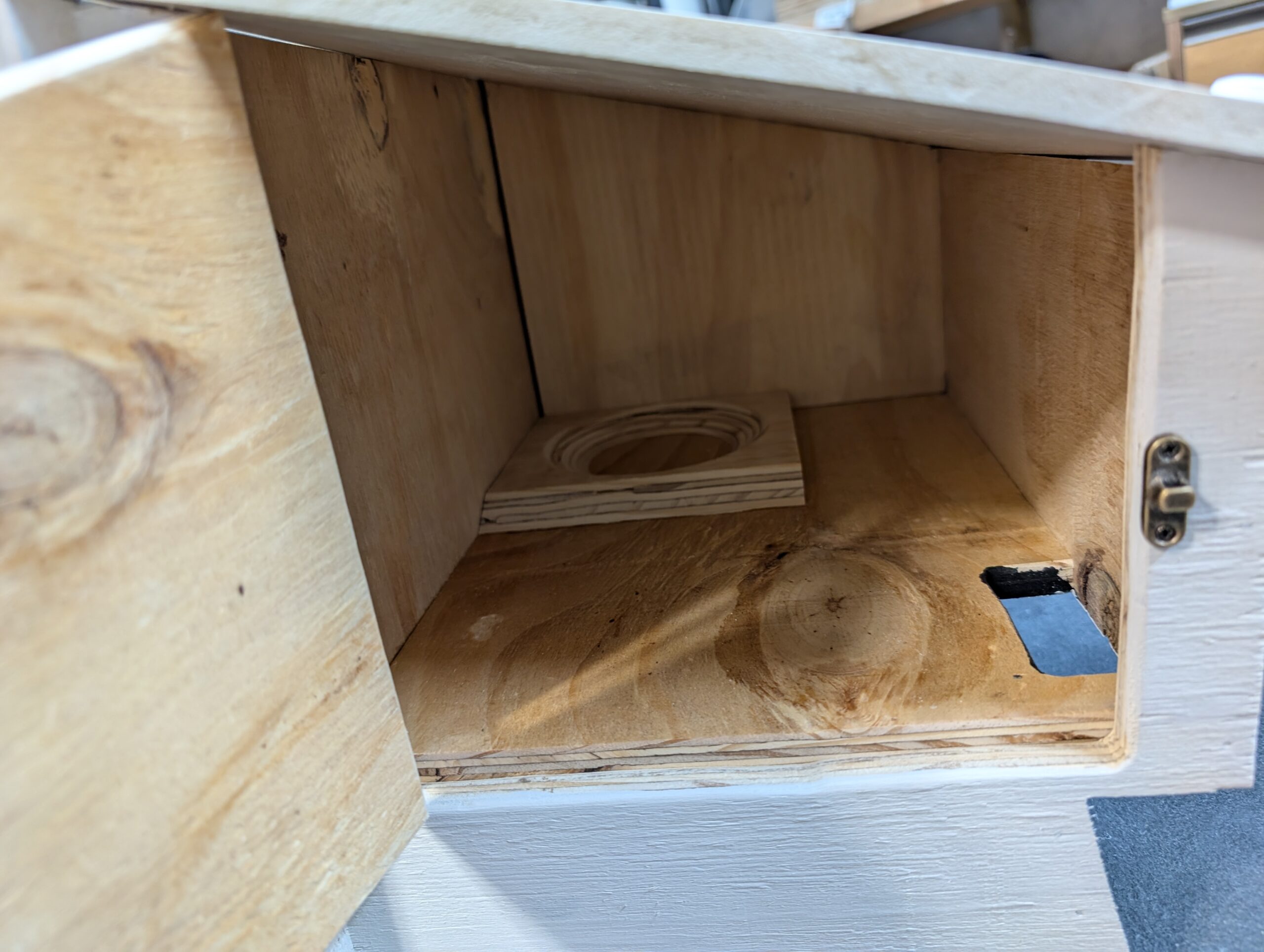 swift and house martin combination box