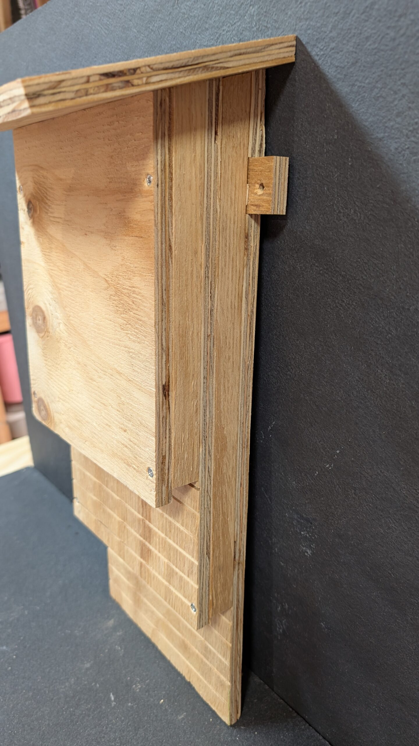 apex house martin nest cup