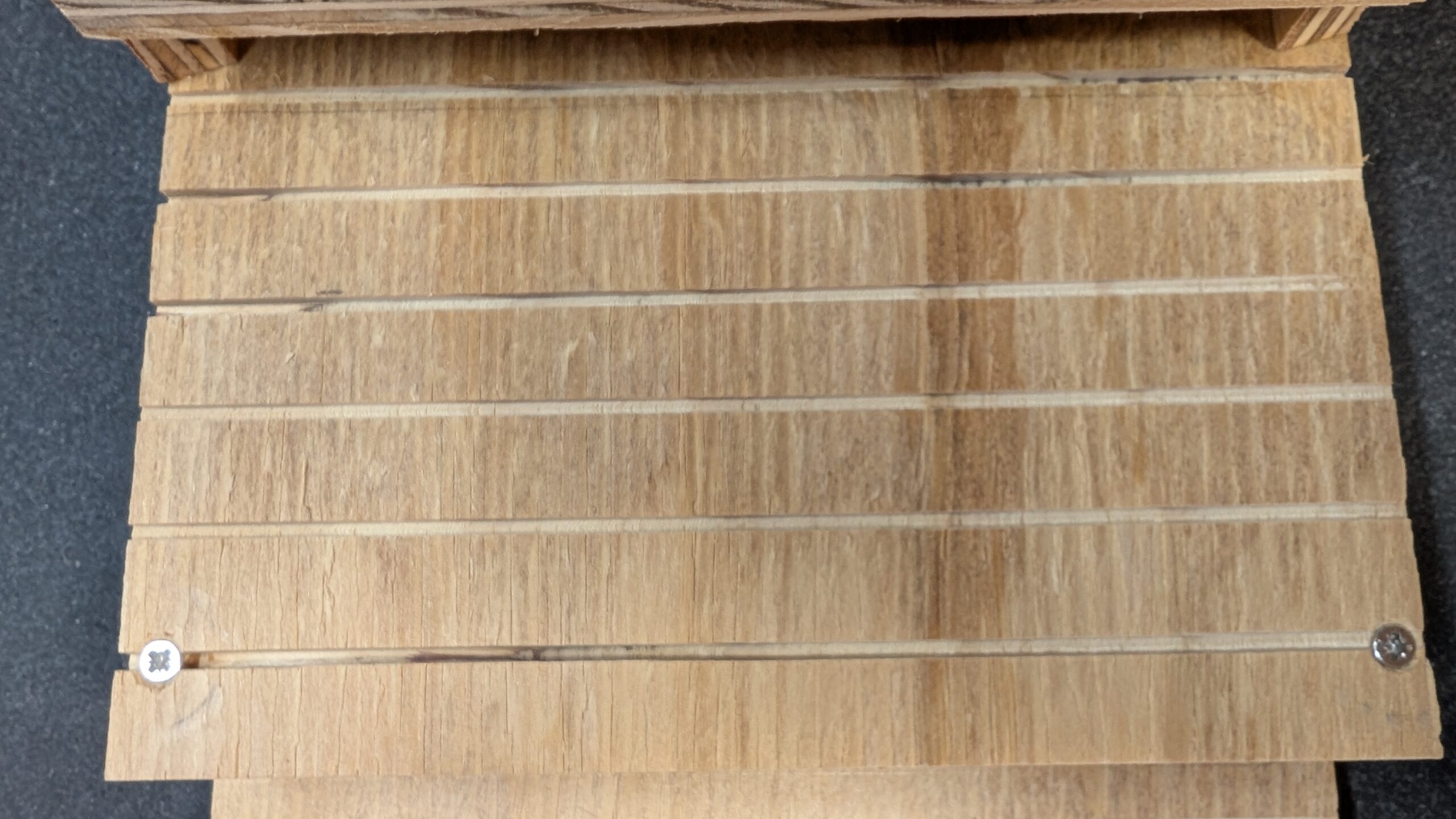 apex house martin nest cup