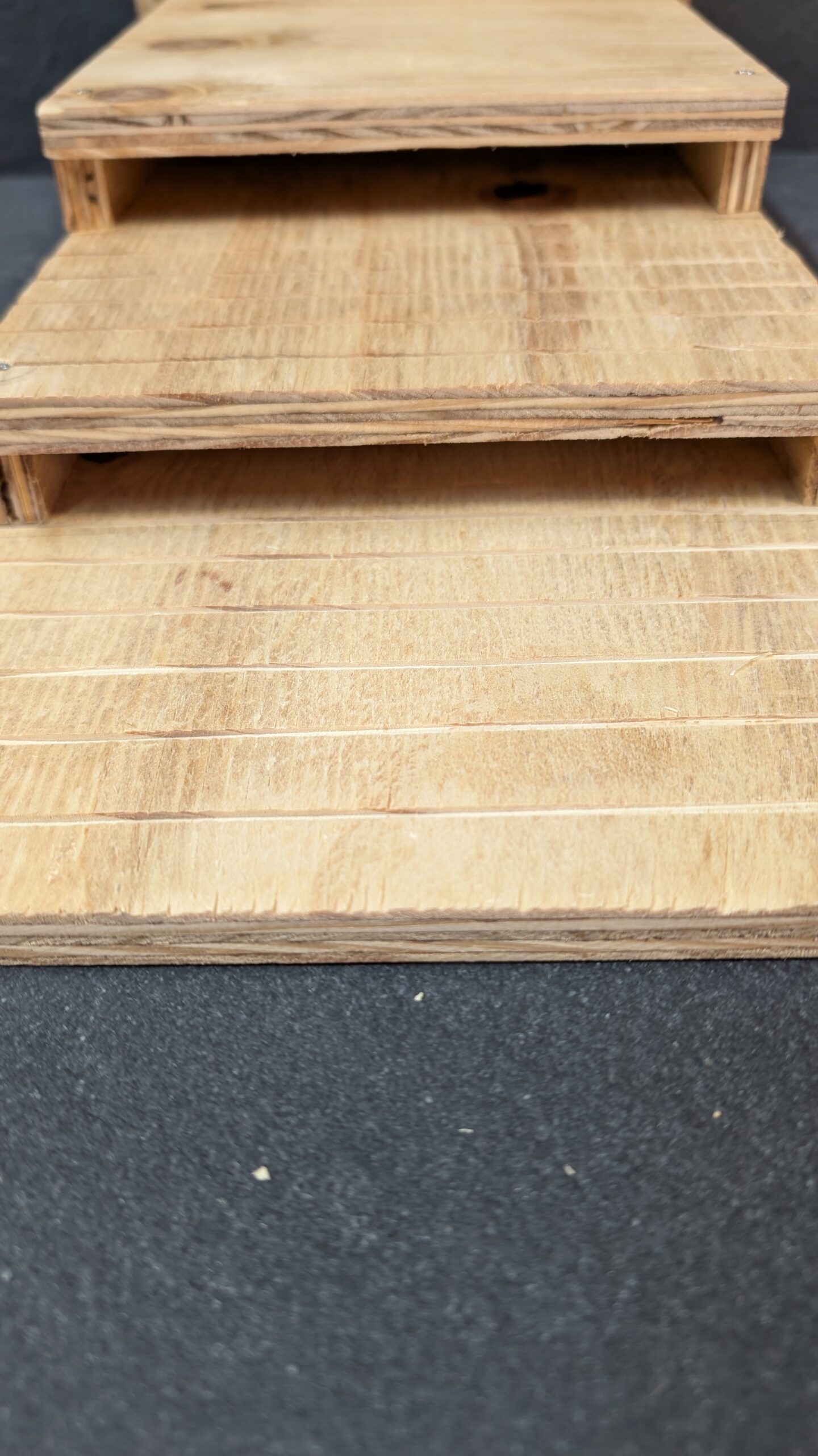 apex house martin nest cup