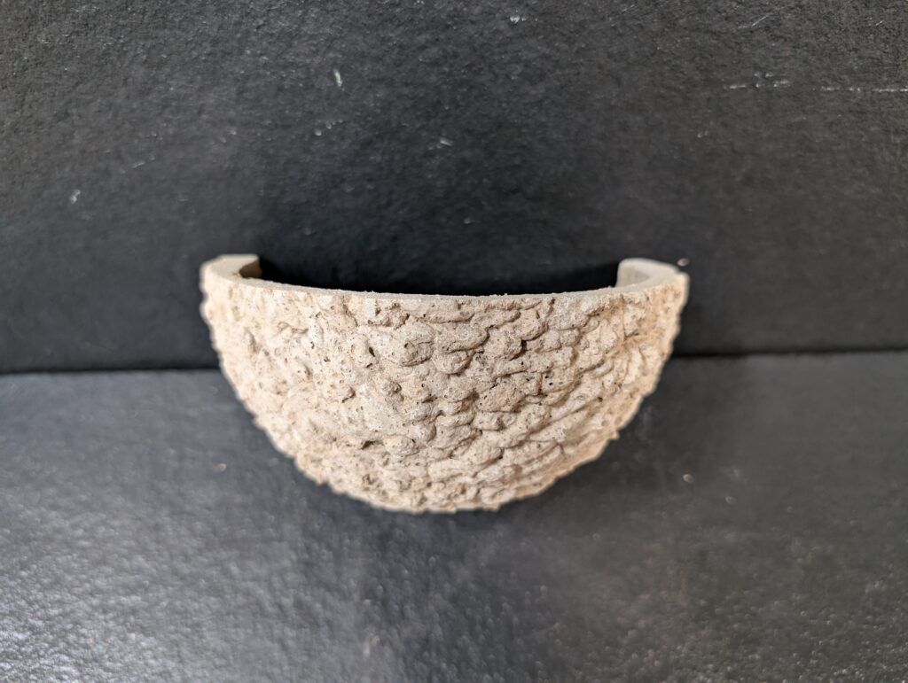 Swallow nest cup