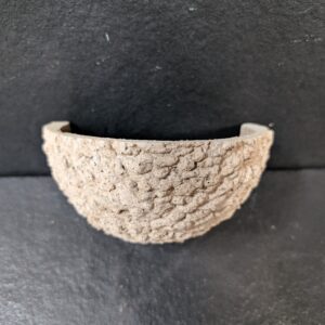 Swallow nest cup