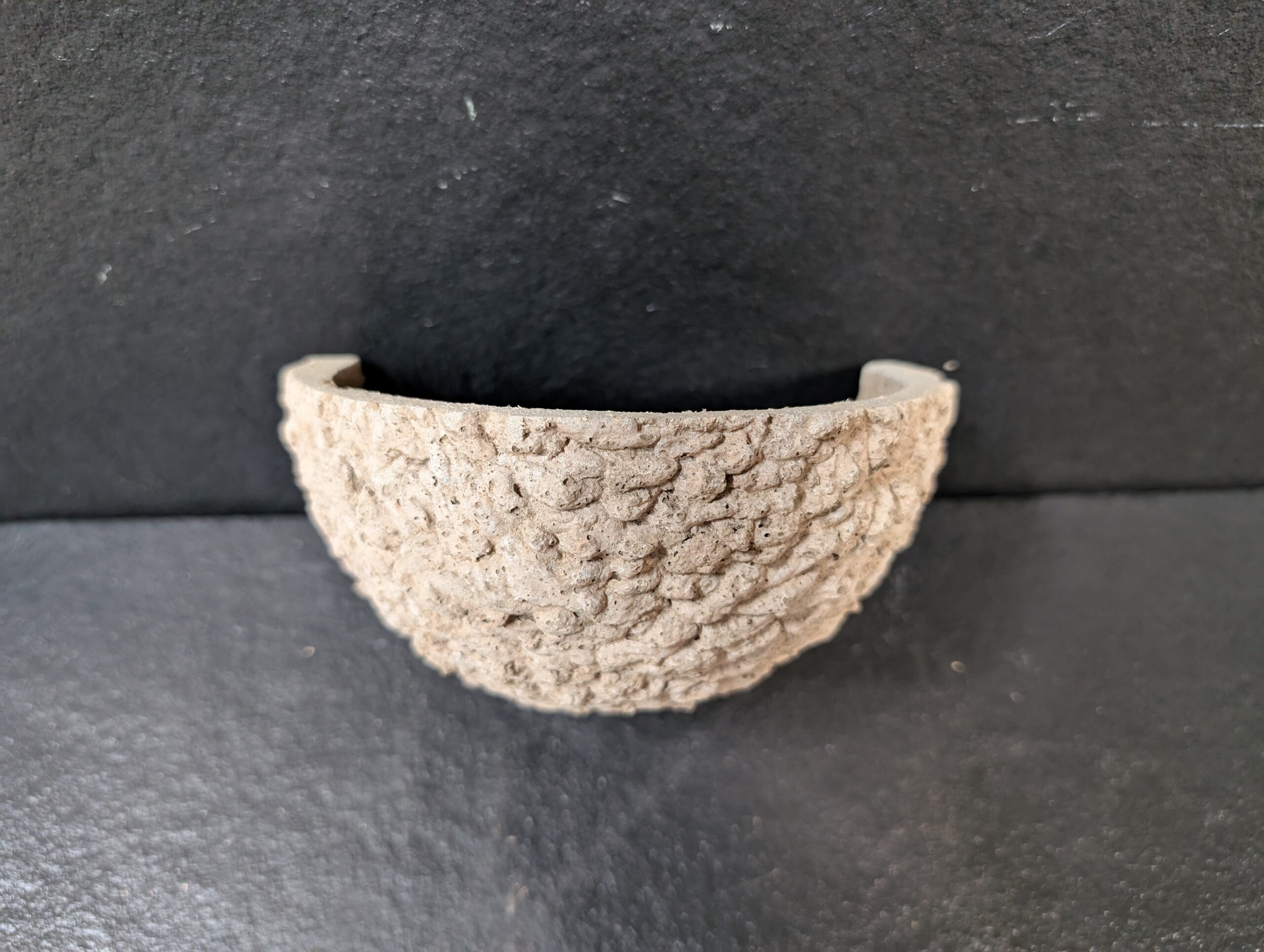 Swallow nest cup