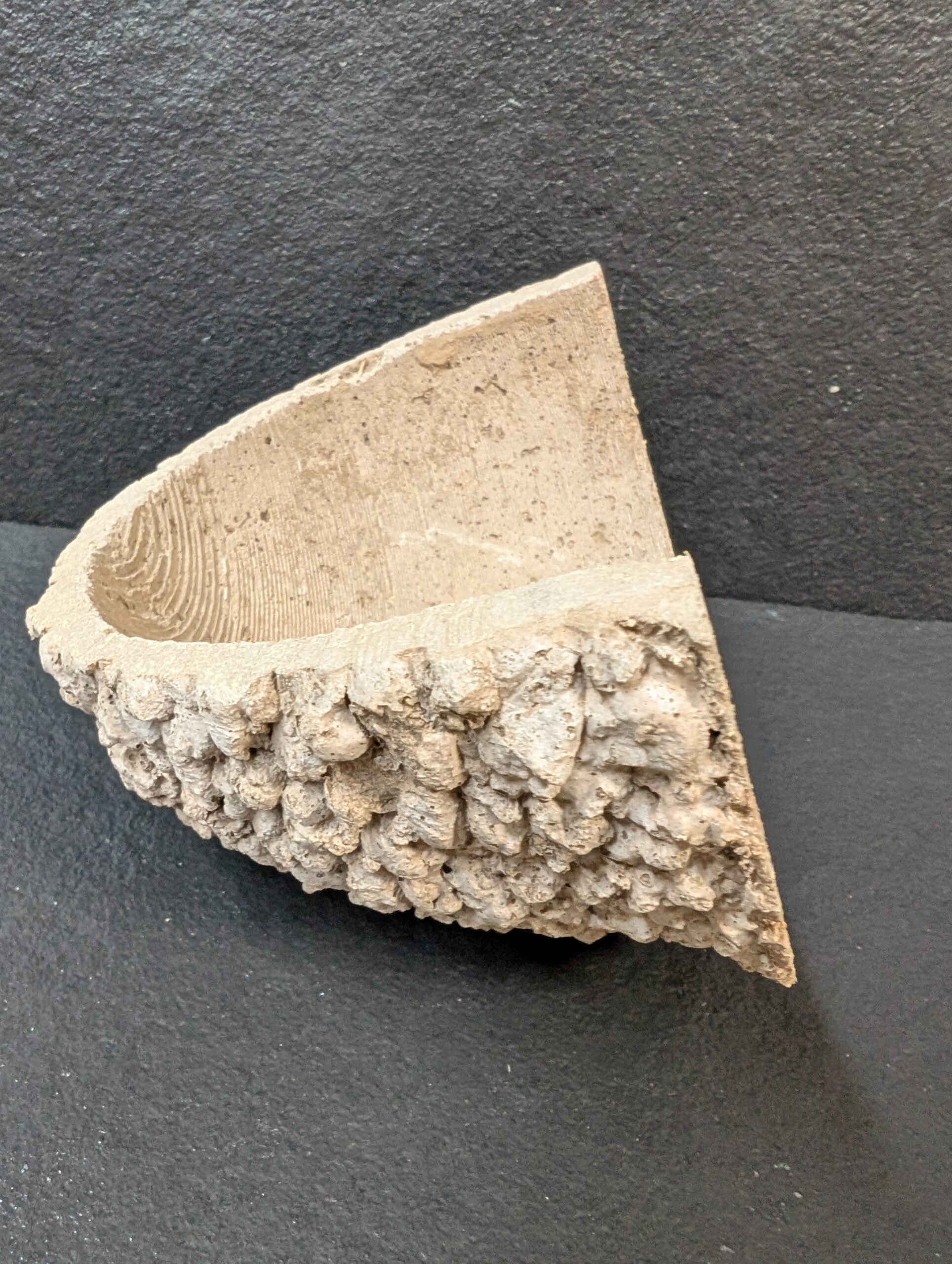 apex house martin nest cup