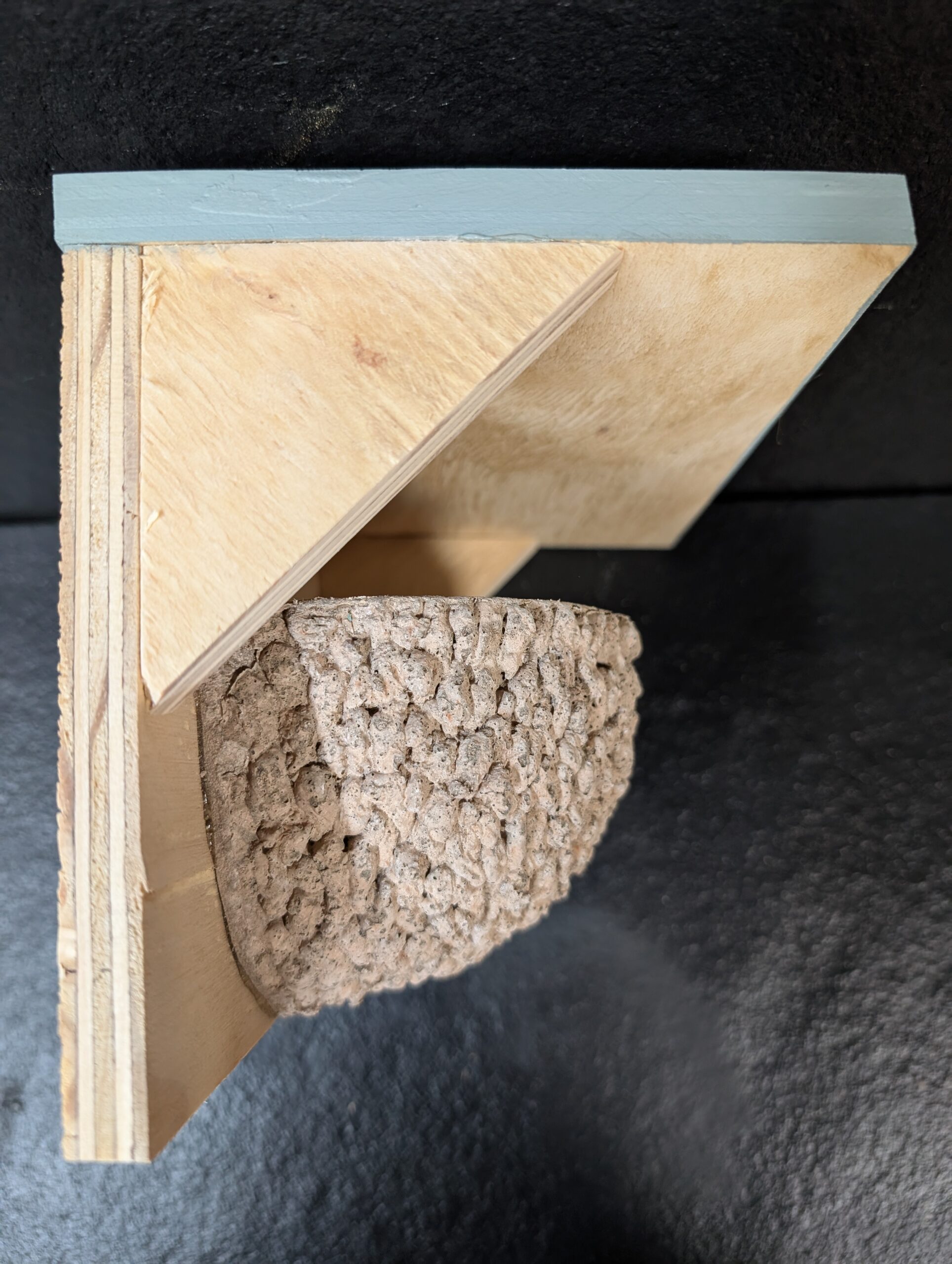 apex house martin nest cup