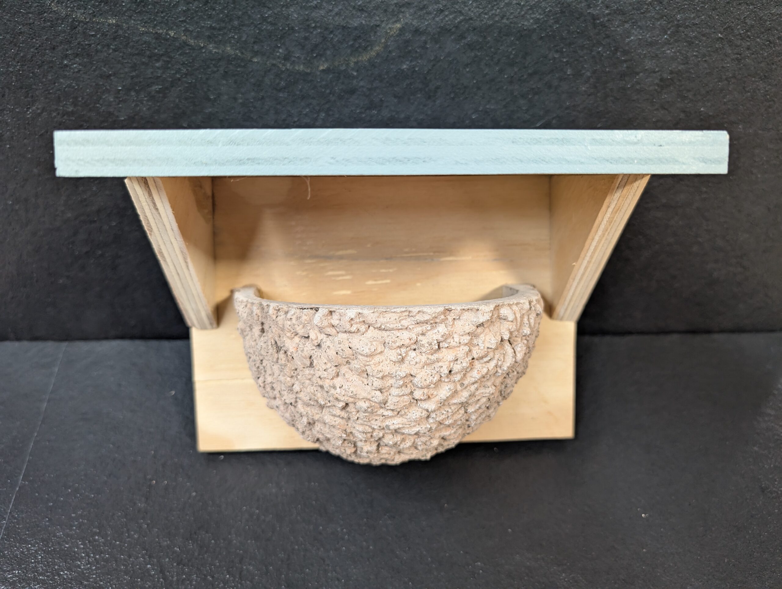 apex house martin nest cup