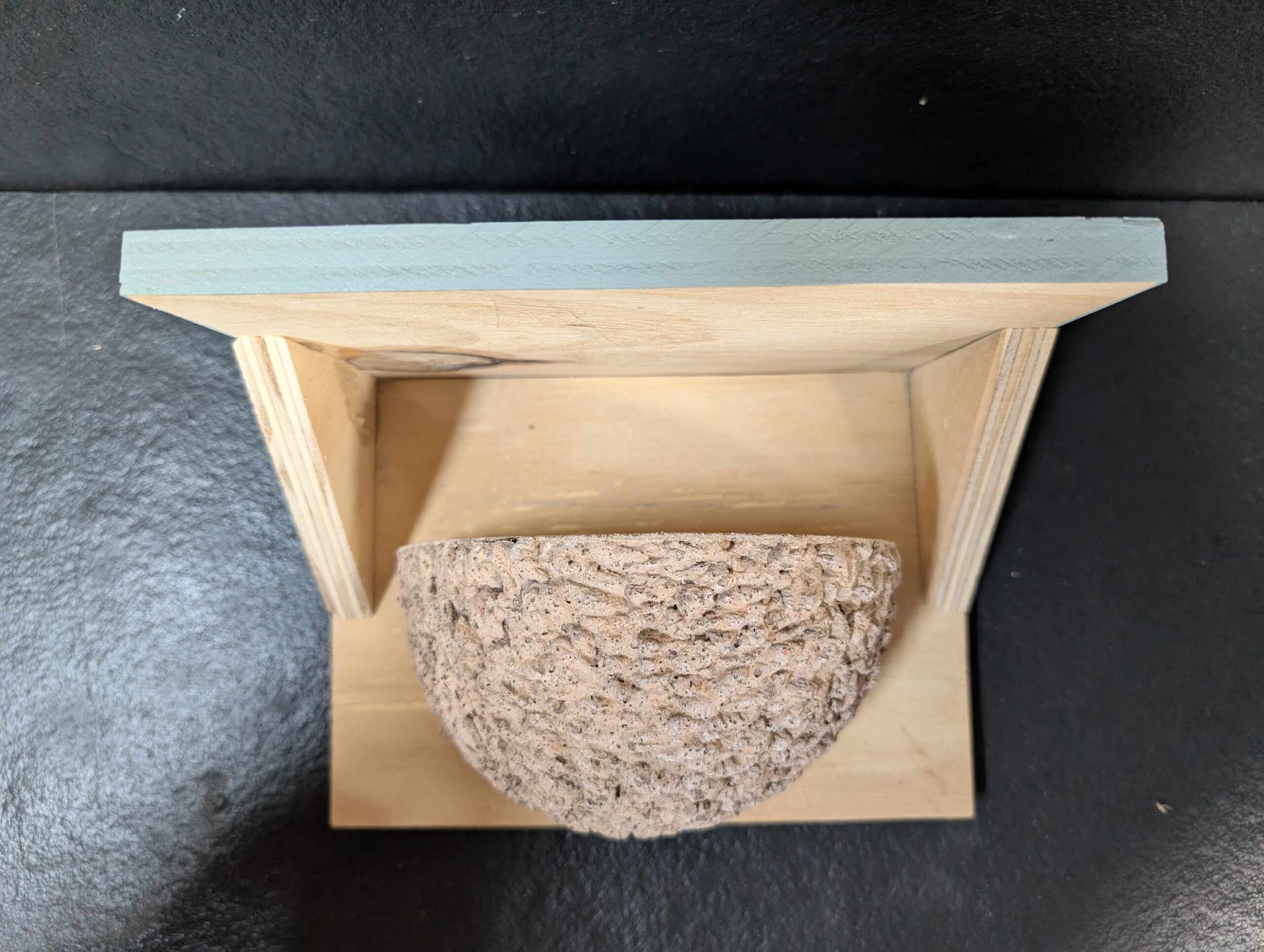 apex house martin nest cup