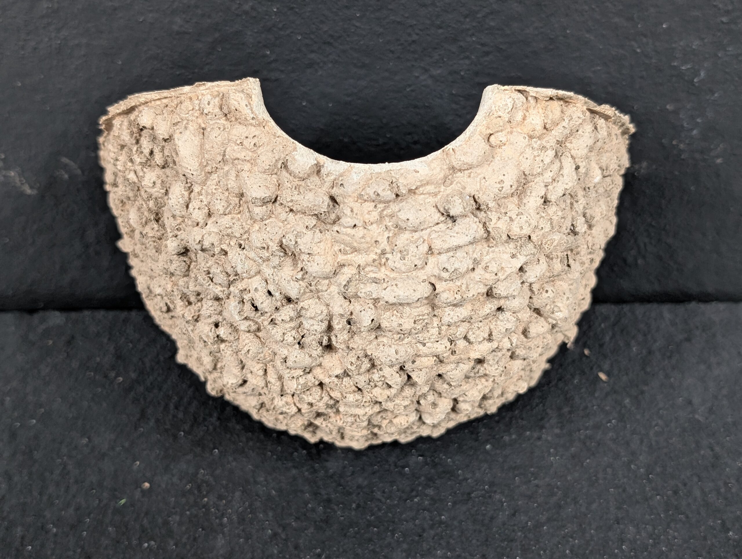 single house martin nest cup (no roof to use with your own backing)