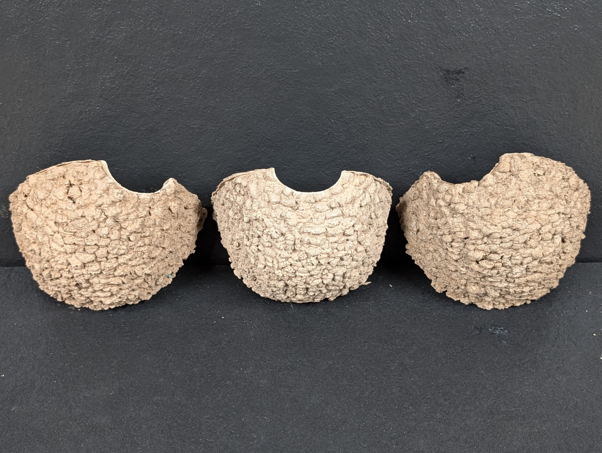 single house martin nest cup (no roof to use with your own backing)