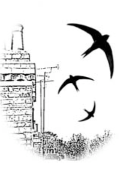 screenshot 2025 02 28 211757