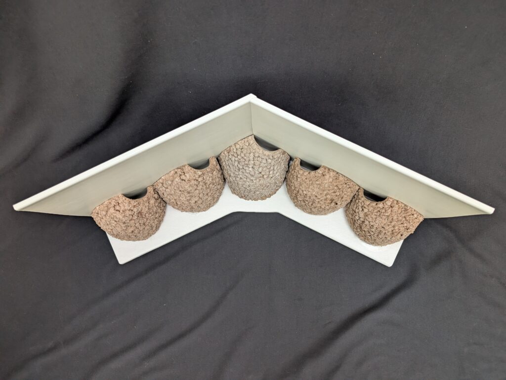 5 cup apex house martin cup made to measure by nest cup box (2)