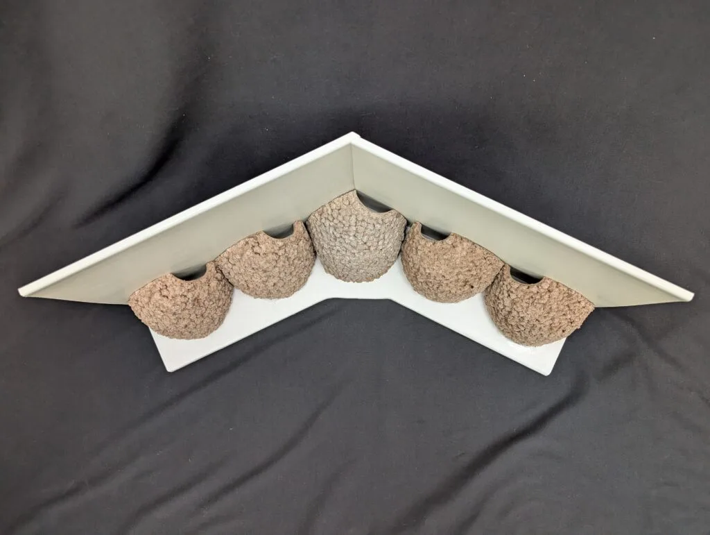 5 cup apex house martin cup made to measure by nest cup box (2)
