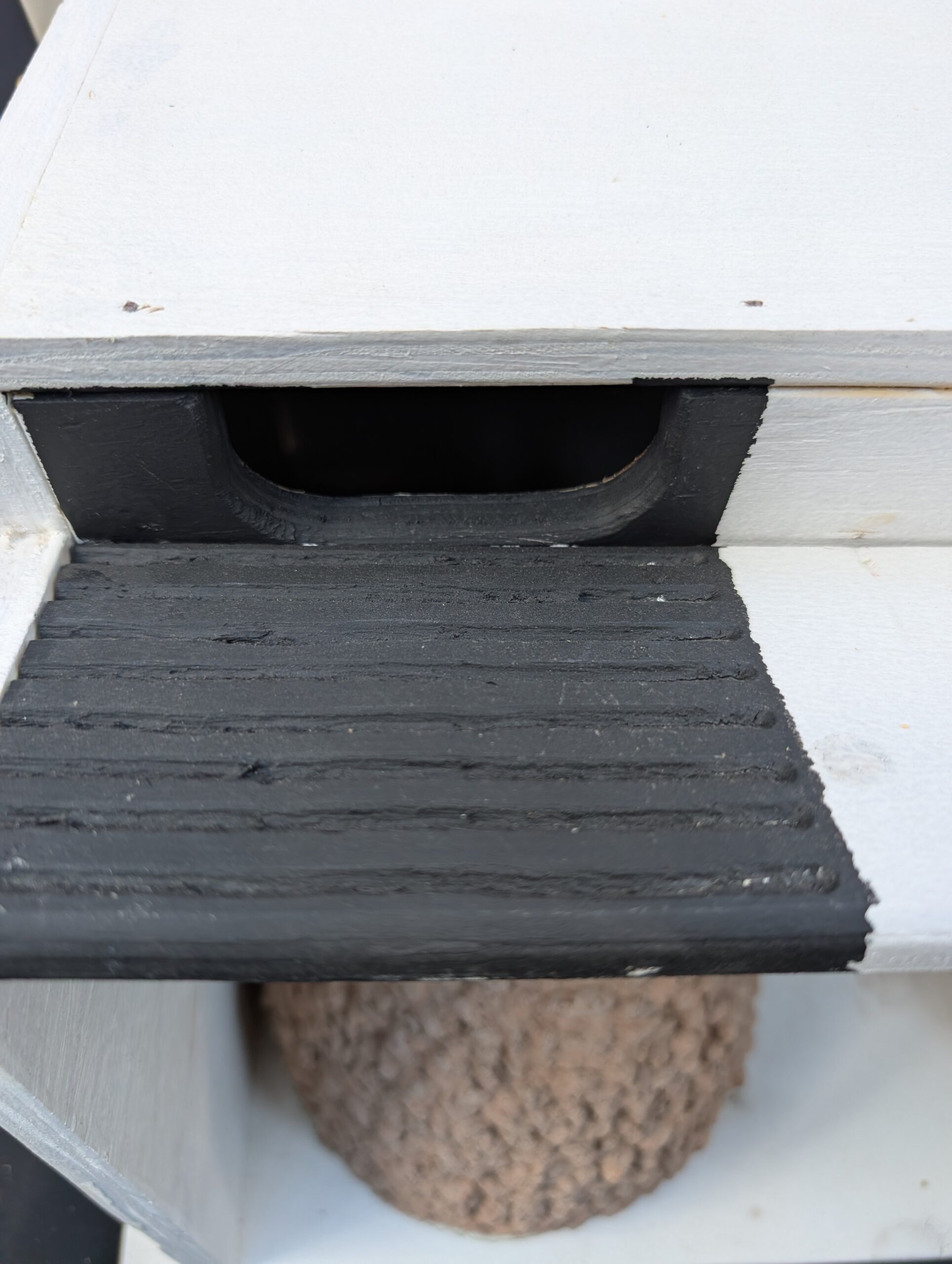 combi swift and house martin box entrance hole by nest cup box