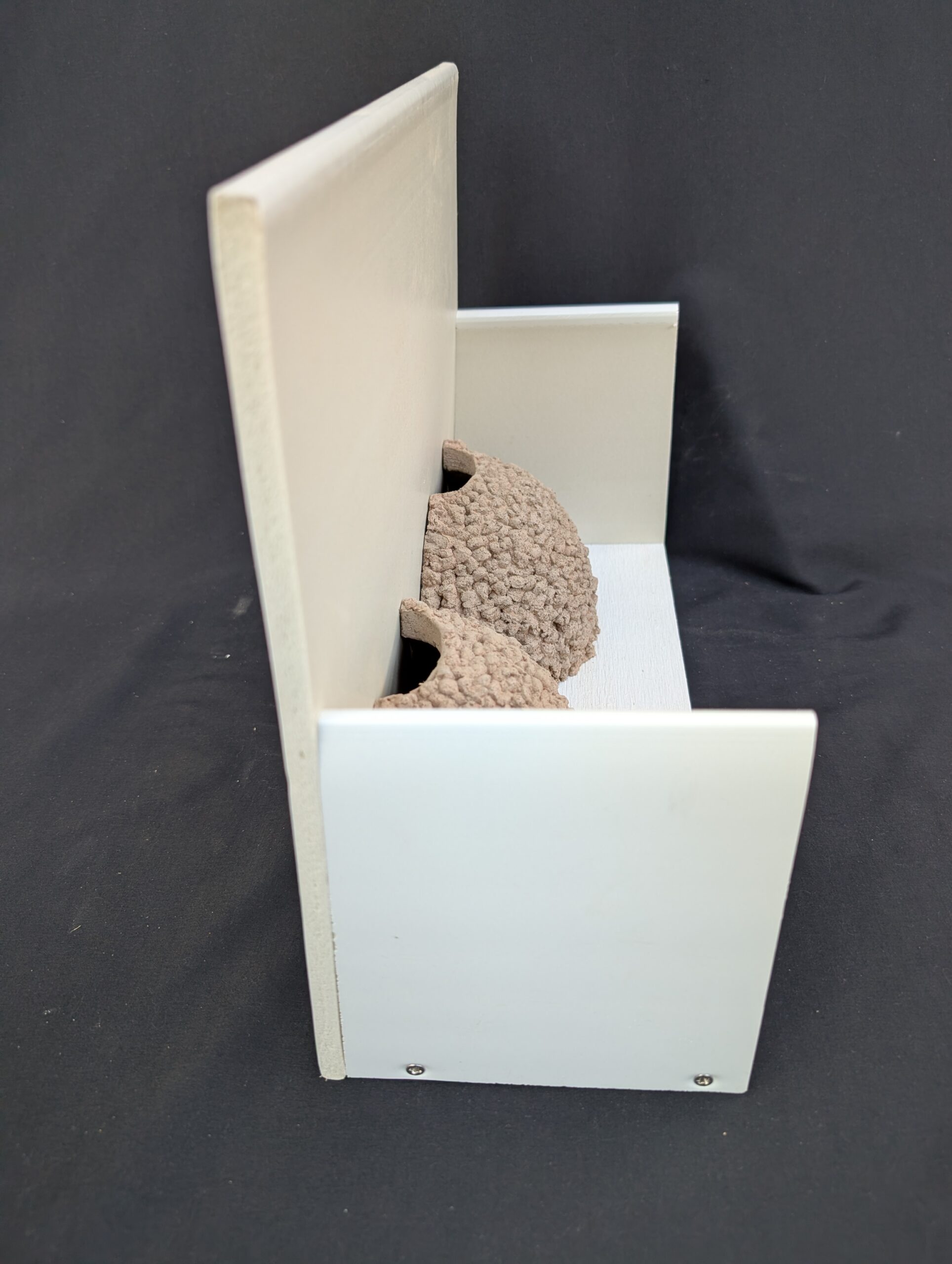 double house martin nes cup by nest cup box (2)