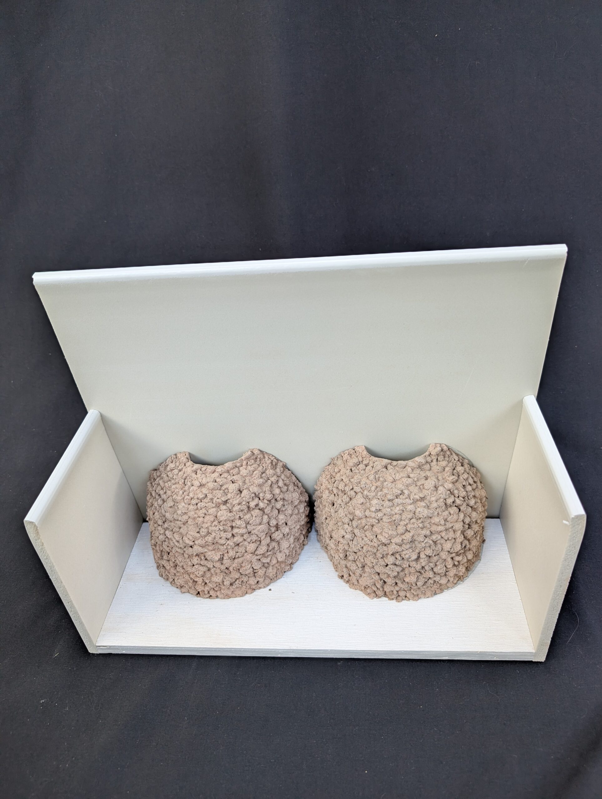 double house martin nes cup by nest cup box (3)