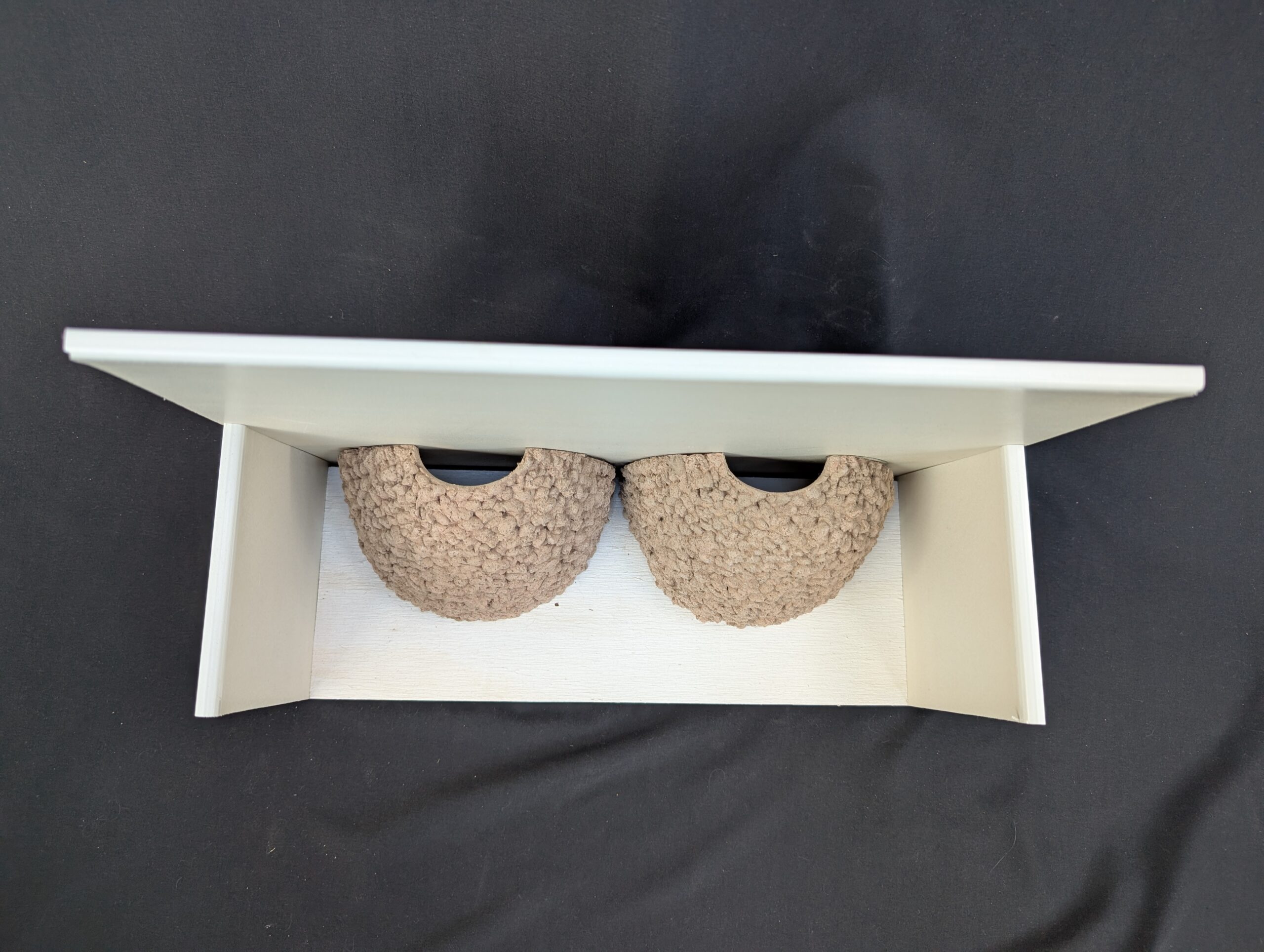 double house martin nes cup by nest cup box