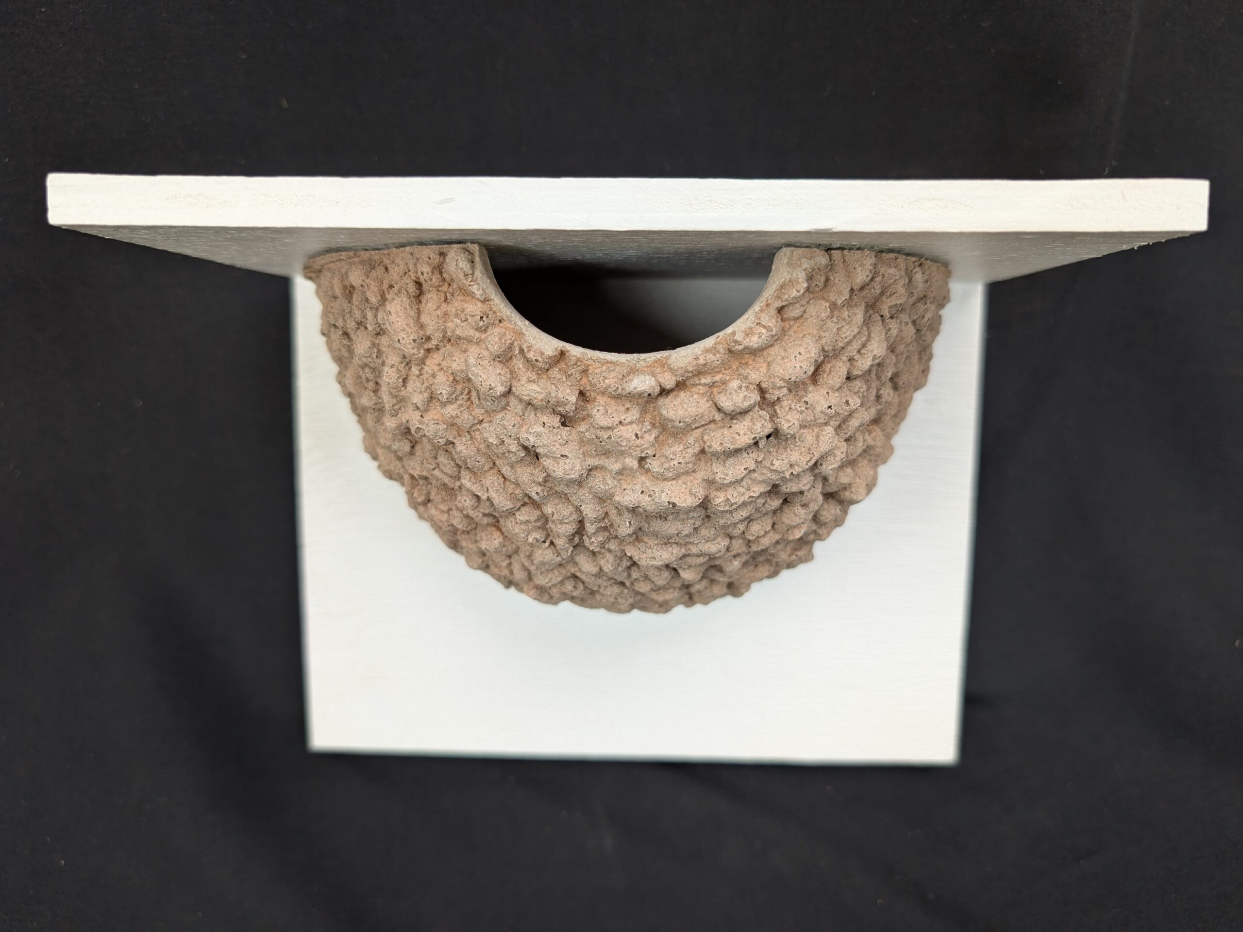 single house martin nest cup by nest cup box (4)