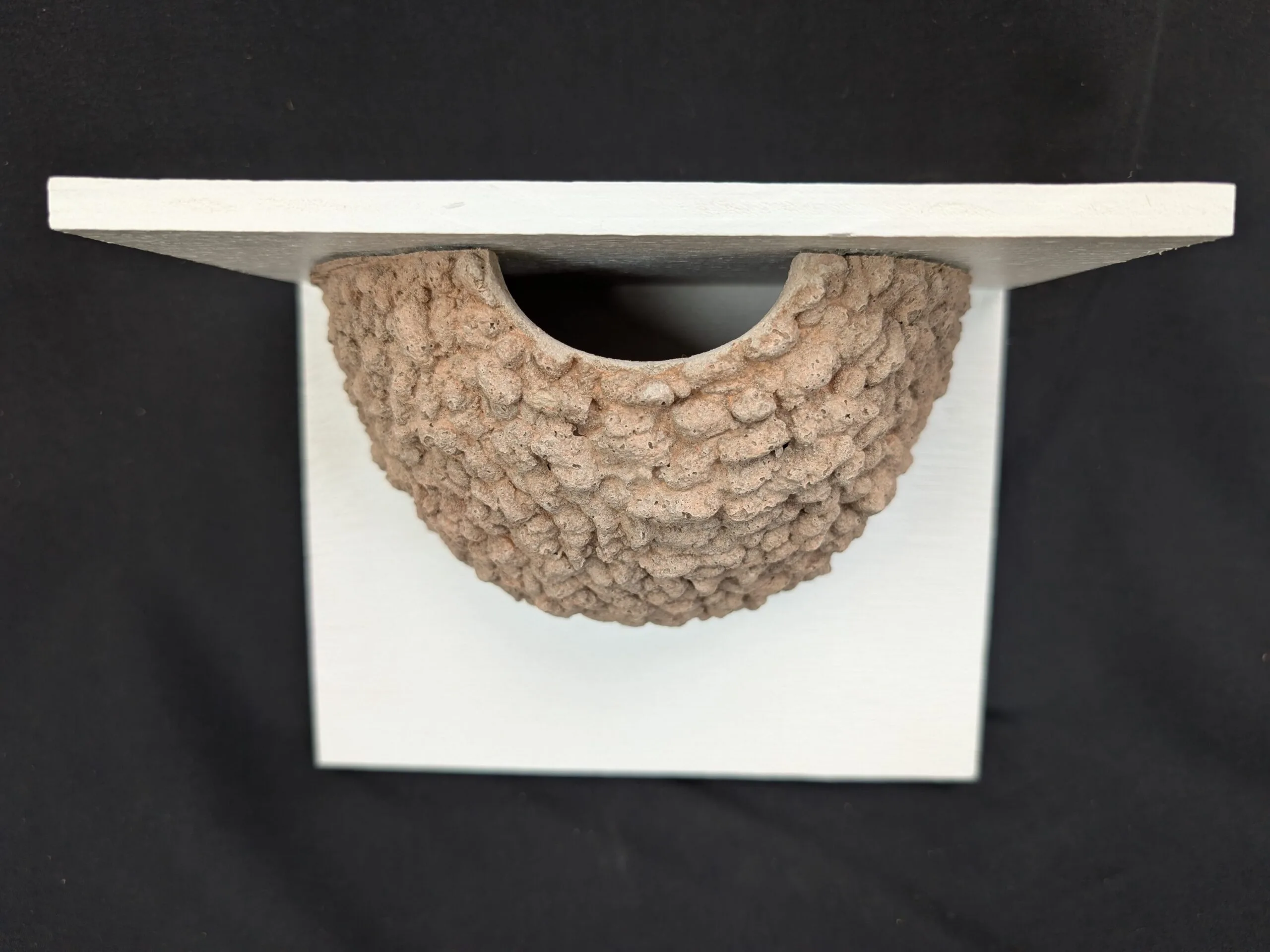 single house martin nest cup by nest cup box (4)