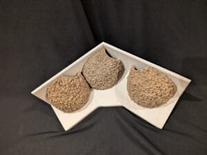 triple apex house martin cups made to measure by nest cup box