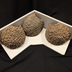 triple apex house martin cups made to measure by nest cup box (6)