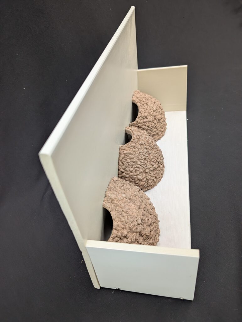 triple house martin nest cup by nest cup box (3)