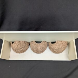 triple house martin nest cup by nest cup box