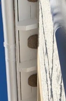 Bespoke angle single House Martin Nest Cup - Image 4
