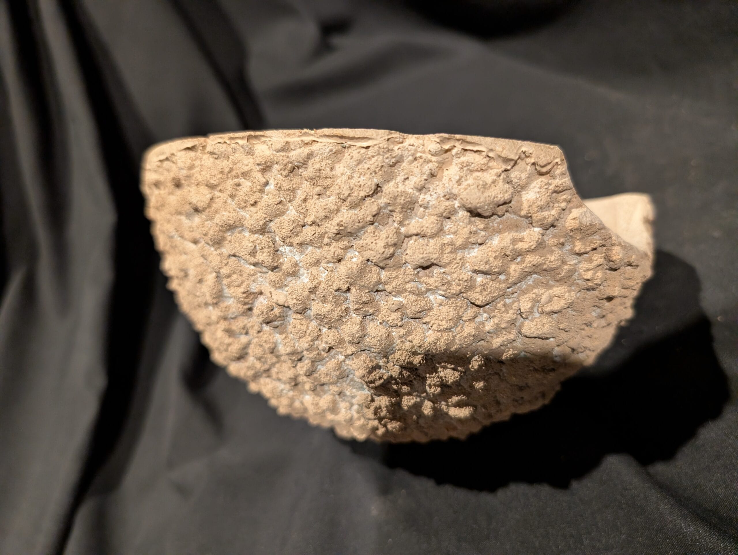 Bespoke angle single House Martin Nest Cup - Image 5